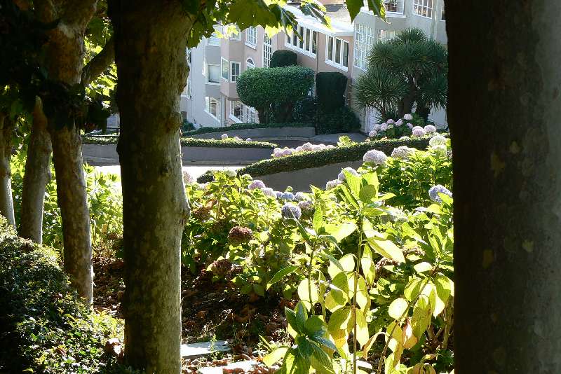 08 Lombard street SAN FRANCISCO